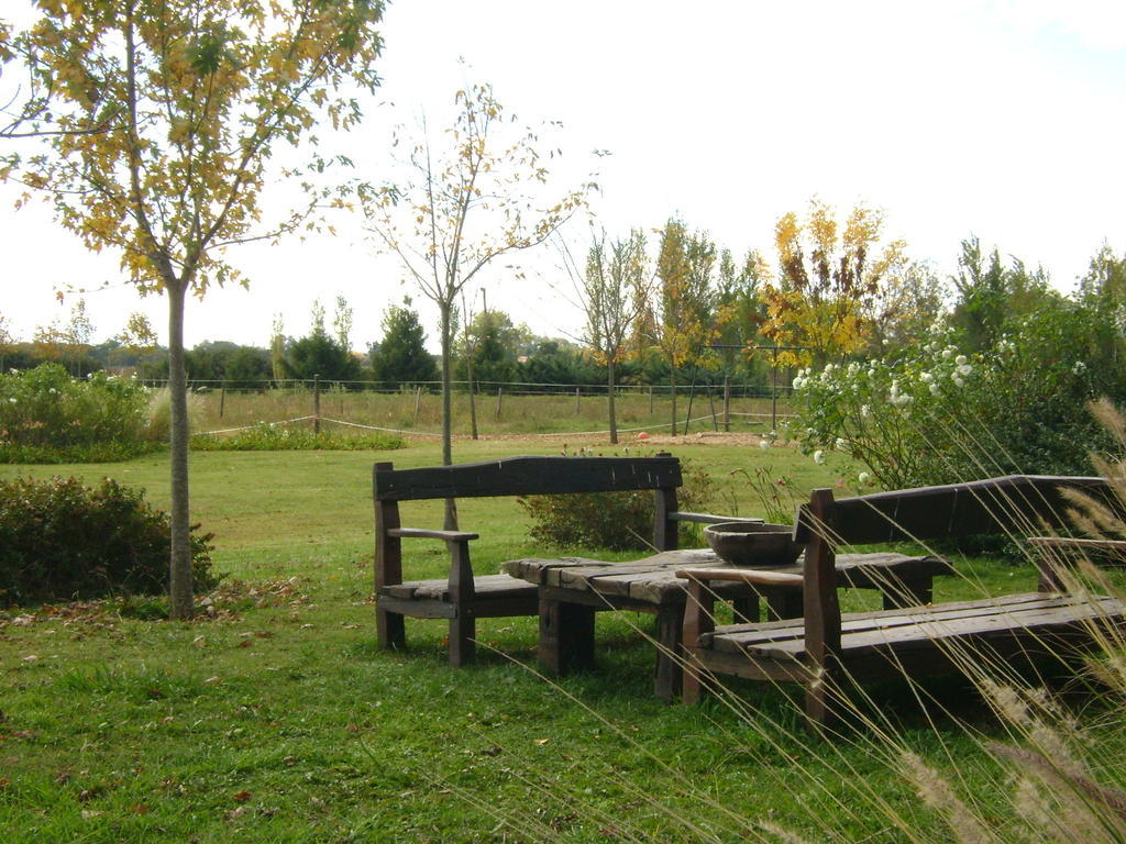 Villa El Ranchito De Areco à San Antonio de Areco Extérieur photo