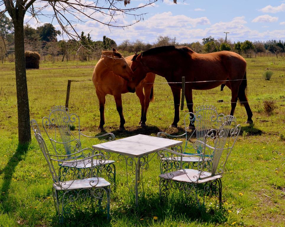 Villa El Ranchito De Areco à San Antonio de Areco Extérieur photo